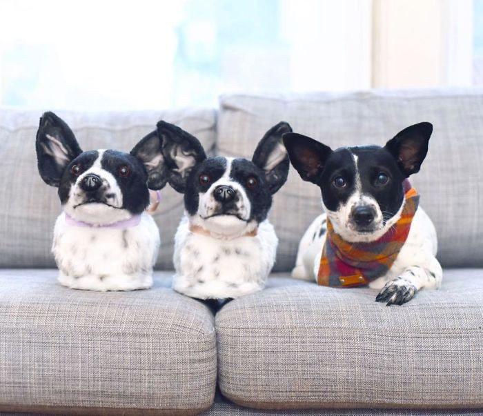 9. "With My New @cuddleclones Slippers, I’m Always Doing Double Takes!"