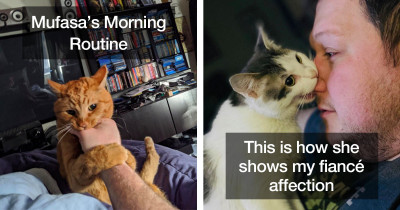 Naughty Cats Can't Stop Biting Things, and It's Honestly Adorable