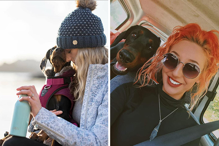 "It's not that I didn't want a dog; I just wasn't ready..."