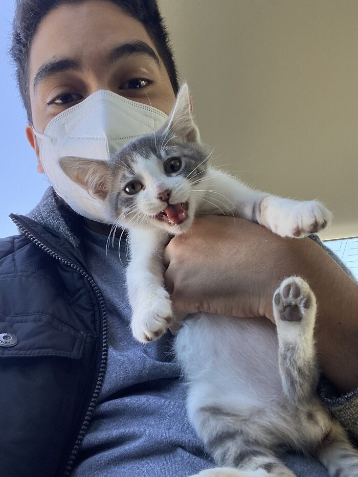 16. Adopted This Boy On The Spot Today. His Name Is Stevie Wonder And He’s A Blind Cat Who Loves To Be Held And Scream