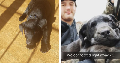Deaf Man Adopts Adorable Deaf Puppy and Teaches Him Sign Language
