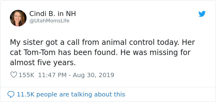 Tom-Tom the cat, managed to find his way home after being missing for 5 years. “My sister worked at the animal shelter when she adopted Tom-Tom many years ago,” Cindi, Tom-Tom's human aunt said.