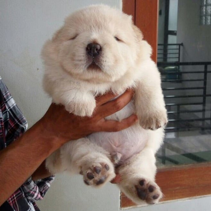 15. What a teddy bear.