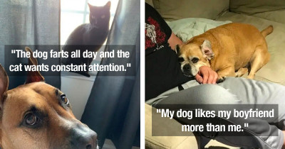 16 People Share The Strangest Things They Have Discovered About Their Pets During Quarantine