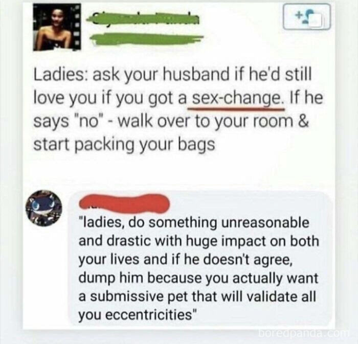 2. Get yourself a pet instead of a husband!