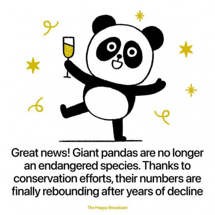 21. Pandas are no longer endangered!