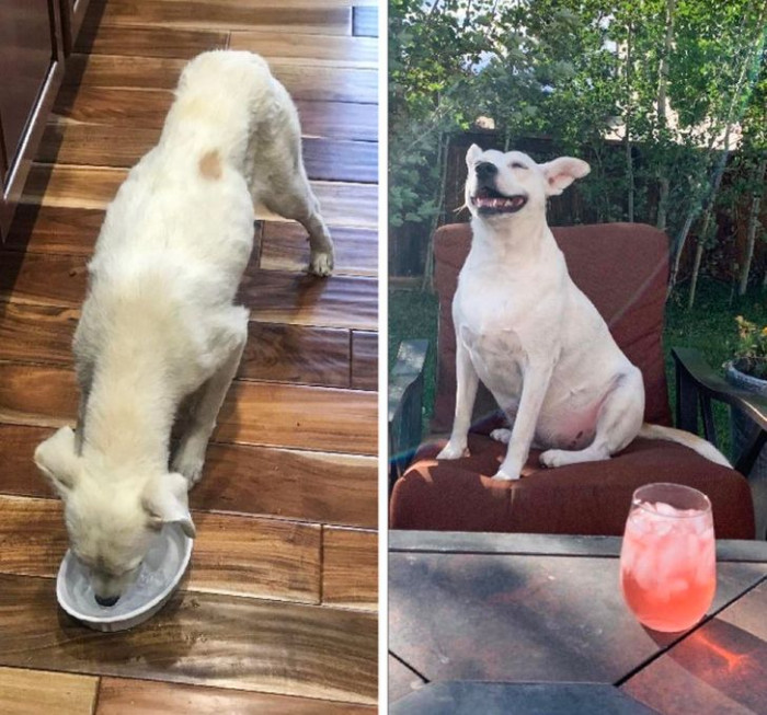 1. “These pictures were taken exactly 1 year apart!”