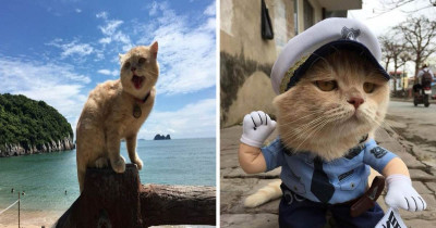 There Is A New Street Vendor In Vietnam That Is Taking The Internet By Storm With His Cuteness