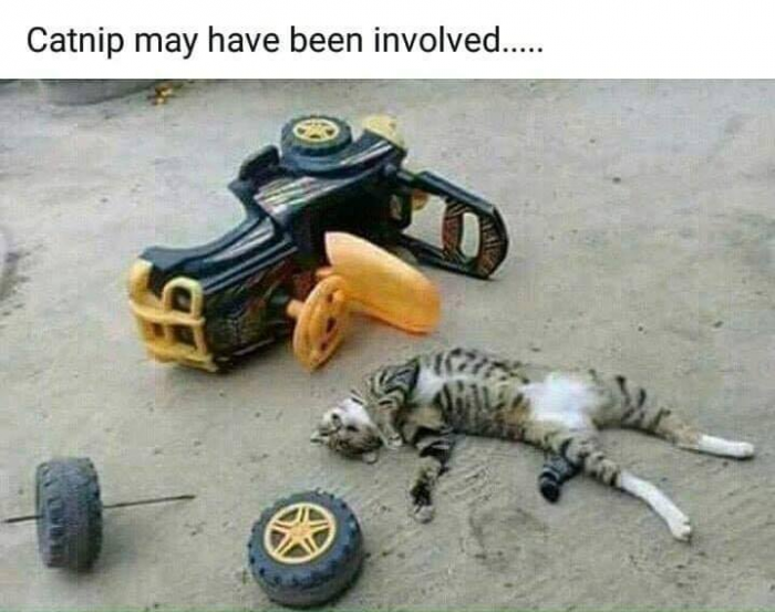 2. Be careful when you nip and drive.