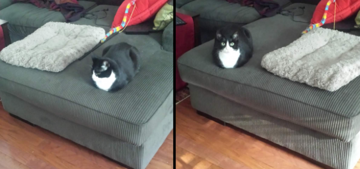 10. Miss Priss, here...