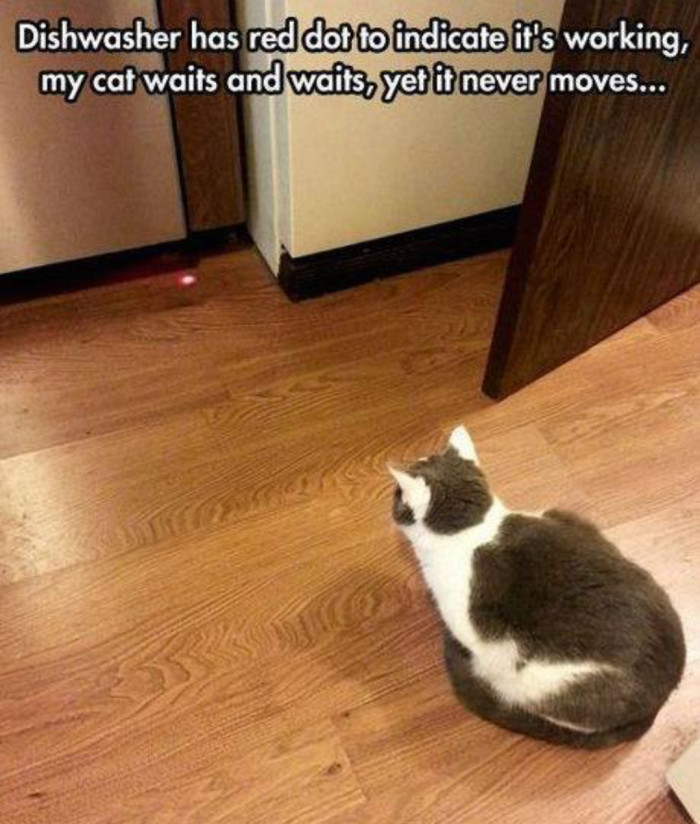 He has unparalleled patience.