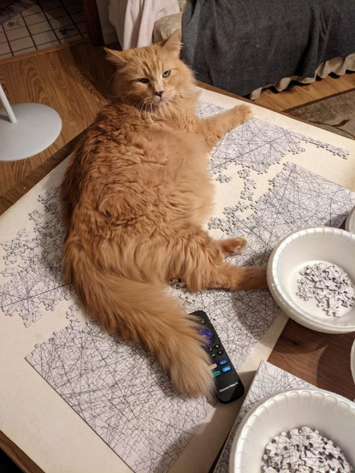 24. "Charlie decided I needed assistance... he is frustrated by how long it's taking me to do this."