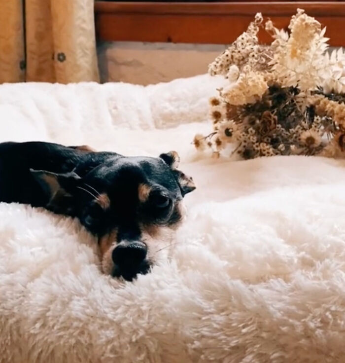 Their priority was to feel relaxed throughout this significant milestone in their lives.