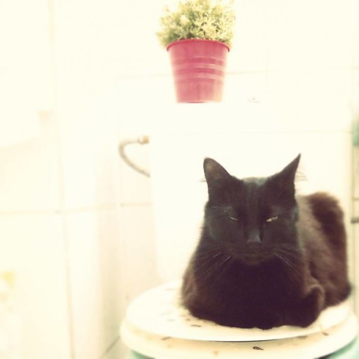 8. Permission denied to use the toilet