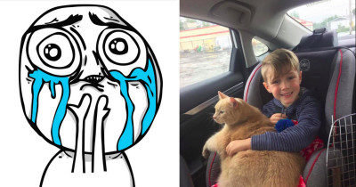 This Boy Delightfully Surprises Everyone When Mom Lets Him Pick Out A Shelter Cat And He Chooses The Old, Fat One