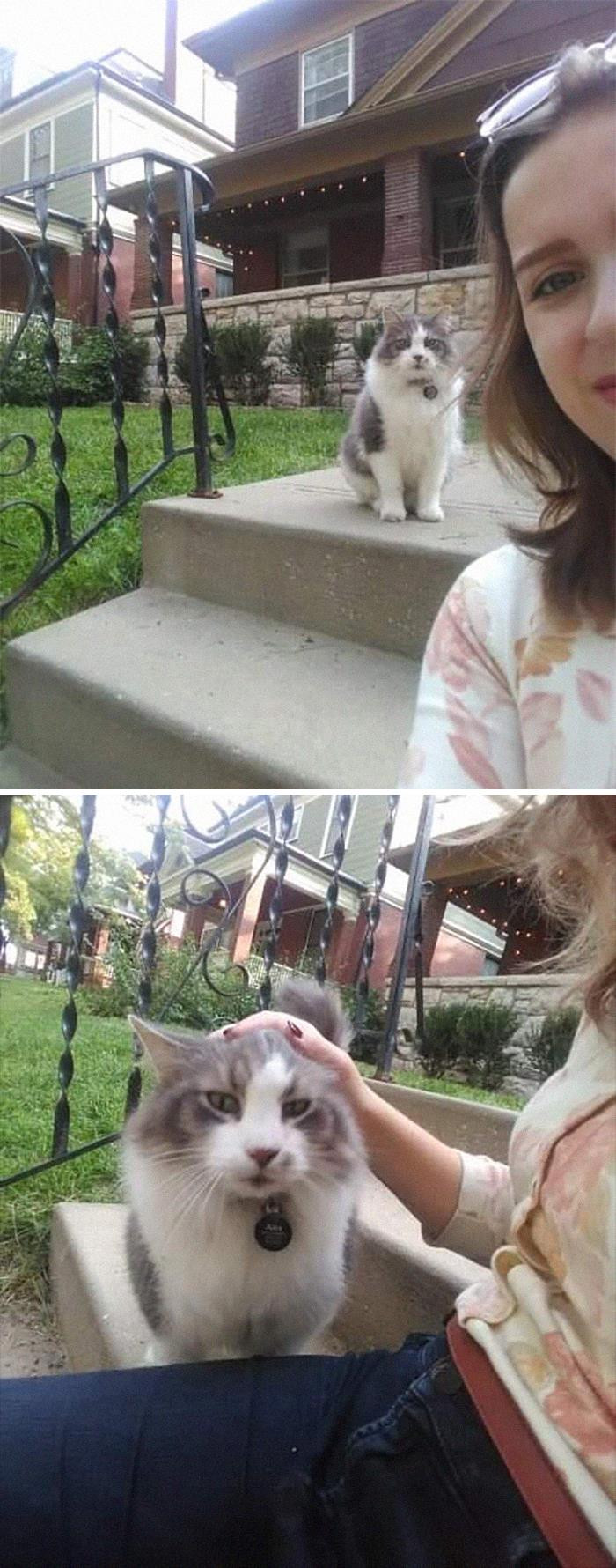 "I Met The Cat Of My Dreams Today Named Alex. I'm Pretty Sure He Was A Maine Coon Based On His Sweet Puppy Dog Demeanor. He Demanded Attention And Would Follow Me If I Continued On My Walk. I Was Absolutely Smitten With Him. Please Peruse"