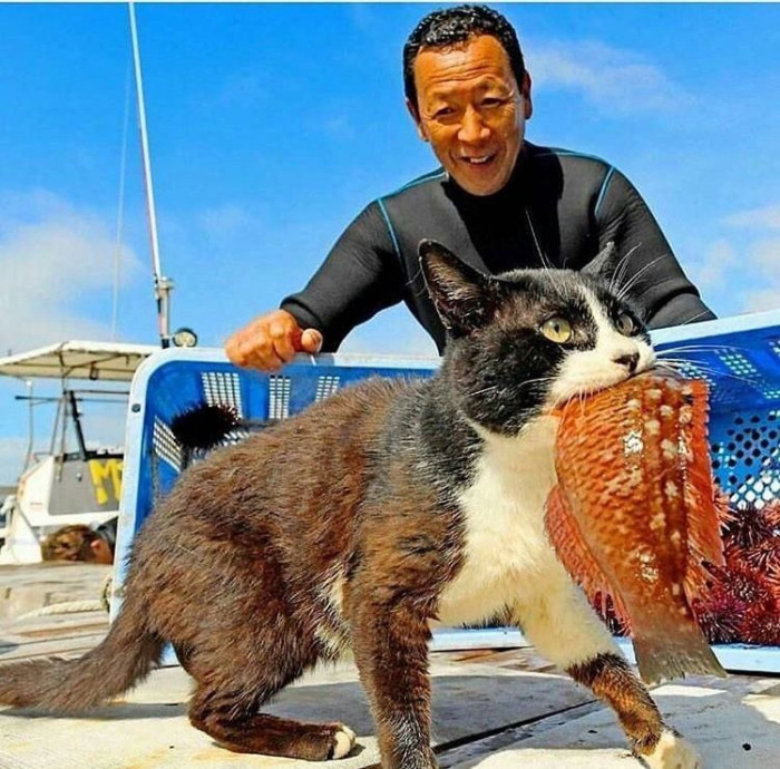 7. "Of all the photos depicting cats and humans, this is my favorite."