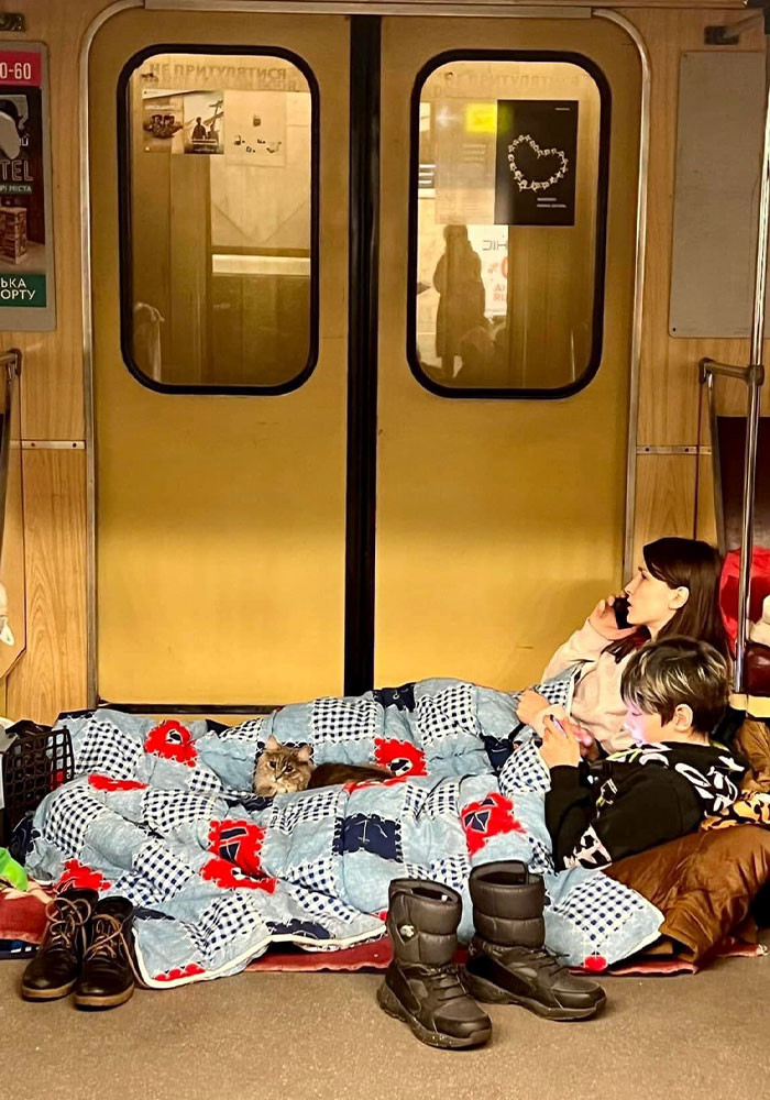 #5 The cat is part of the family too