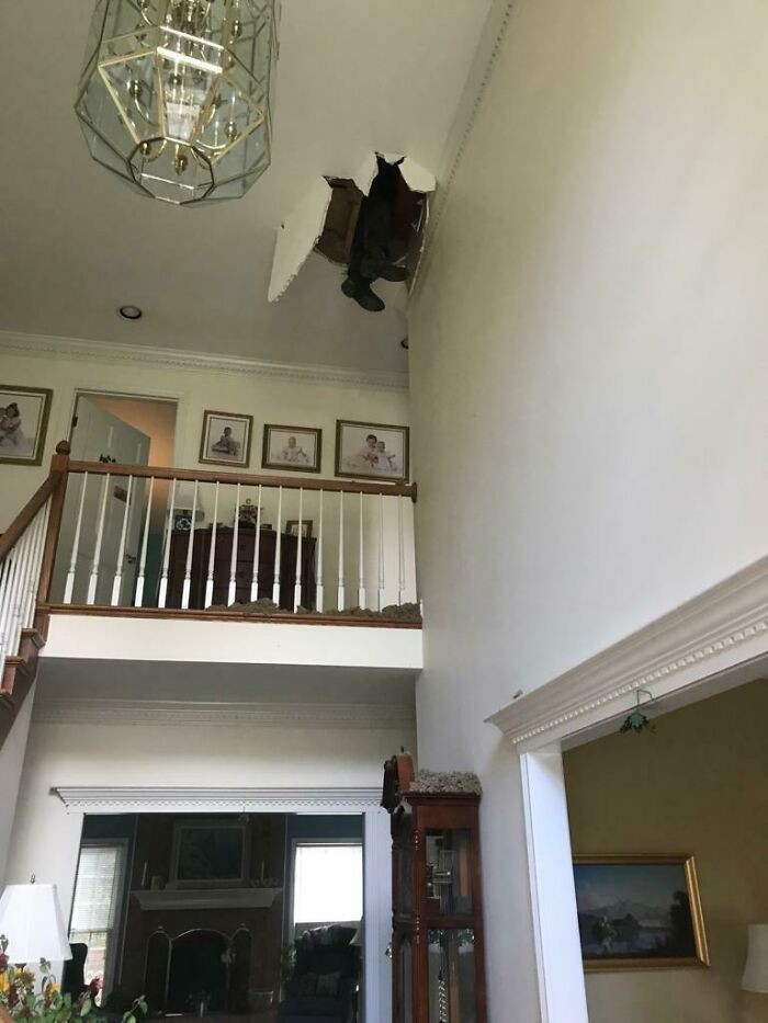 27. The guy from pest control stepped into a weak spot in my attic. Don't worry, he's fine.