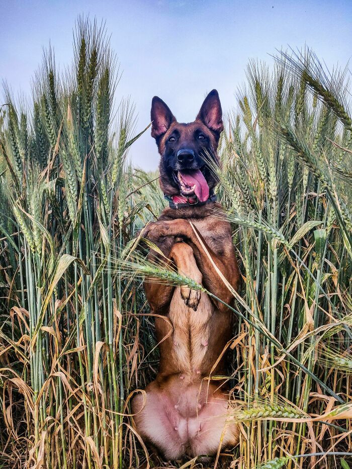 40. "U Can't See Me. Im Grass"