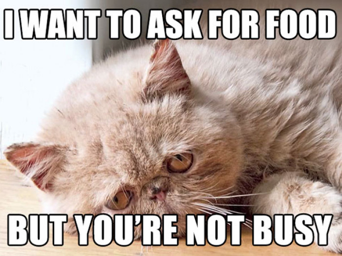 Can you, like, do something? So I can yell at you?