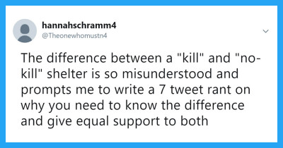 Twitter User's Explanation for the Difference Between a ‘Kill’ and ‘No-Kill’ Animal Shelter Is Heart-Wrenching