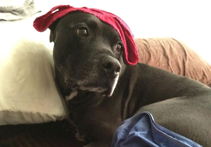 4. Those are not mine...