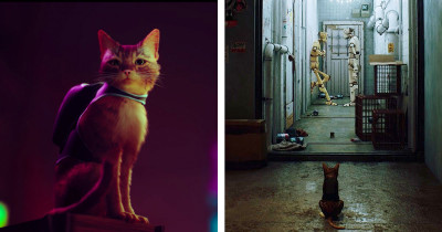 Mystery-Solving Cat With A Mini Backpack Is Starring In This New PlayStation 5 Game, And People Are Psyched