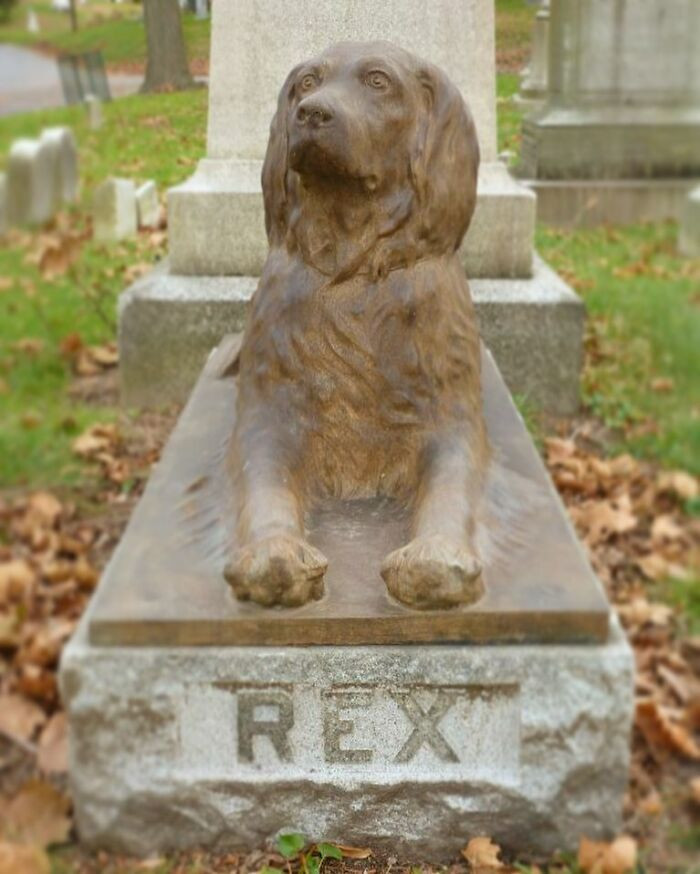 This unique dog-shaped monument is located at the Green-Wood Cemetery in Brooklyn