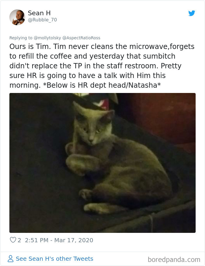 13. NEVER CLEANS THE MICROWAVE!