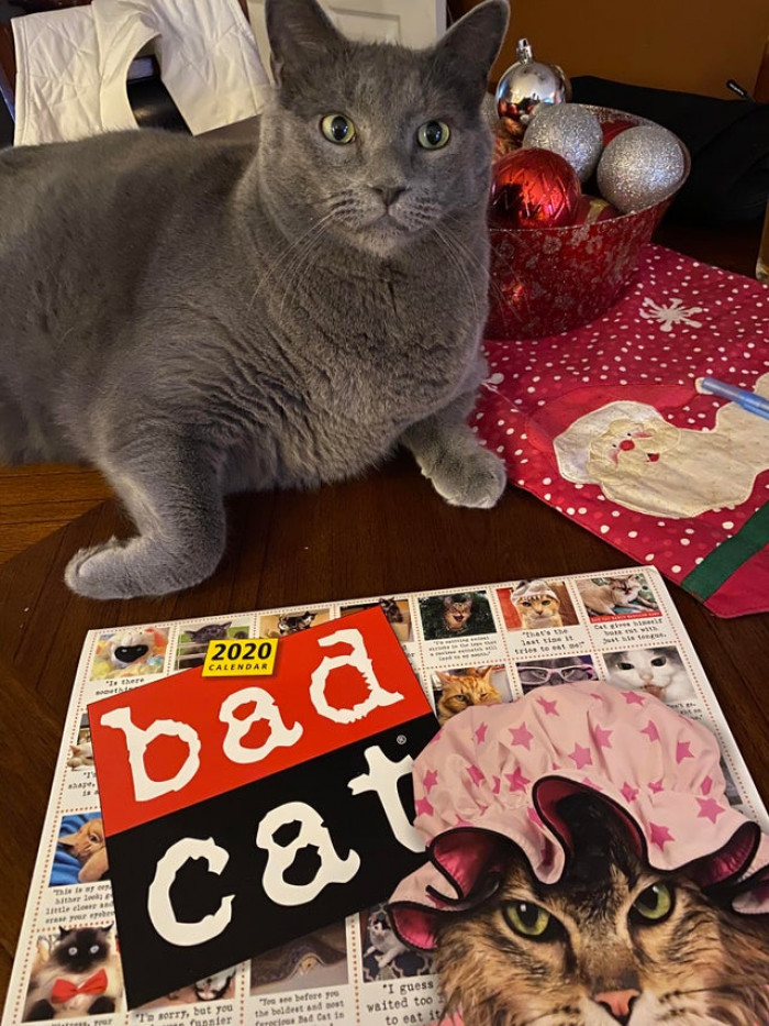 10. Do we even need to explain this one?