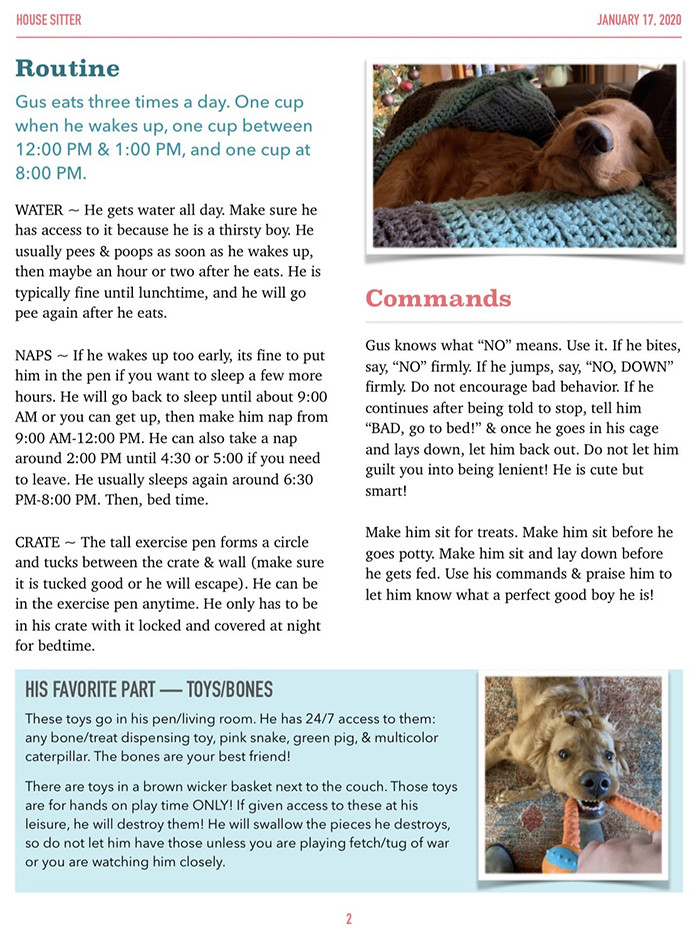 Commands, routine, and some fun facts also had good coverage