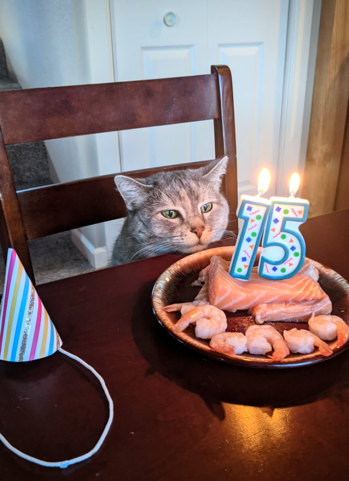 9. "Her name is Jon, and she turns 15 years old today!"