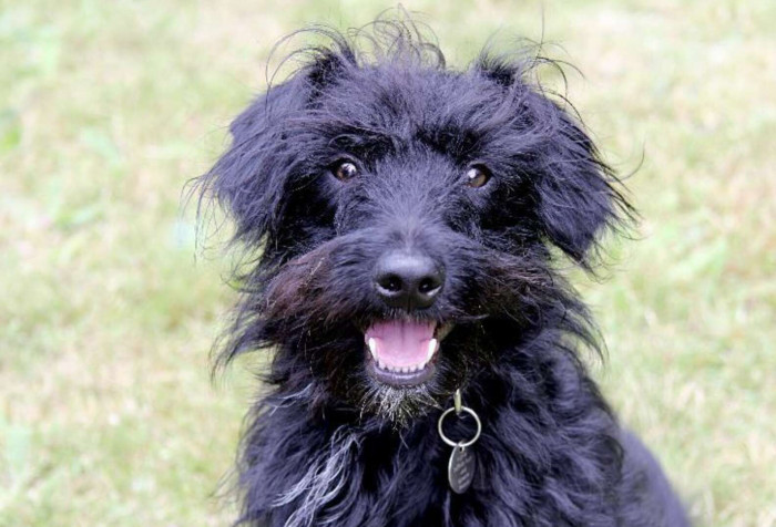 He is looking for a new home