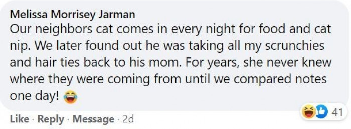 2. One thing I still don't understand about cats is their obsession with scrunchies and hair ties.