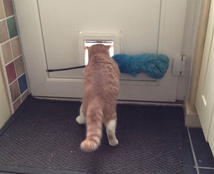 Great thieves... sometimes.