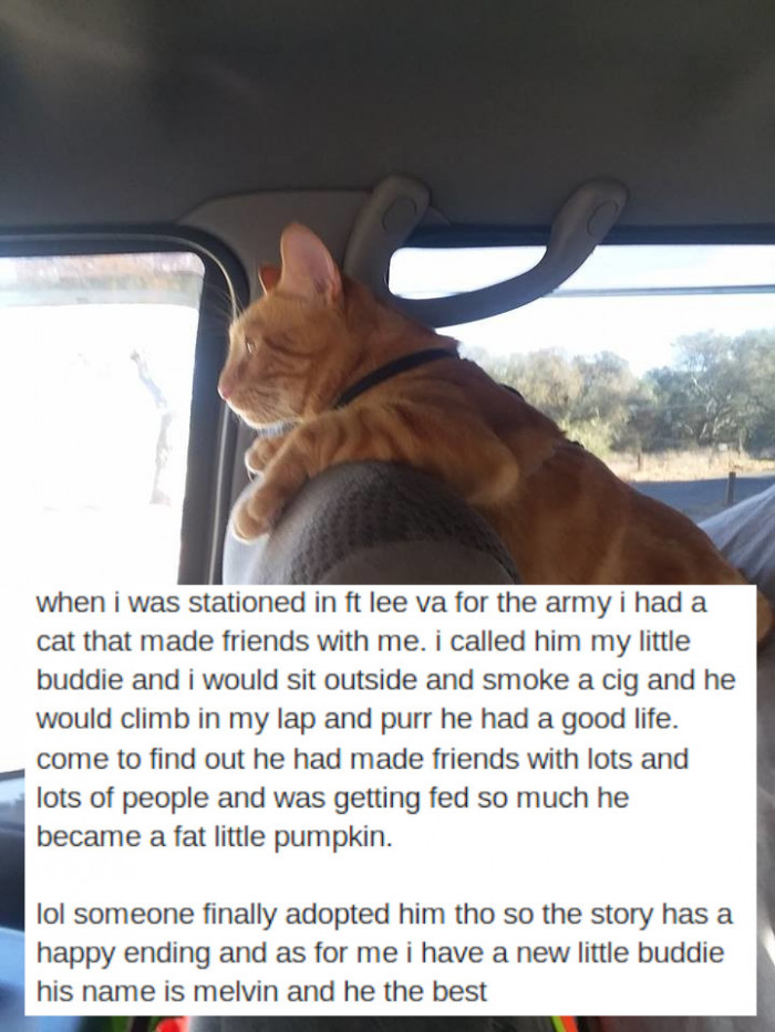 17. Fat, Little Pumpkin!