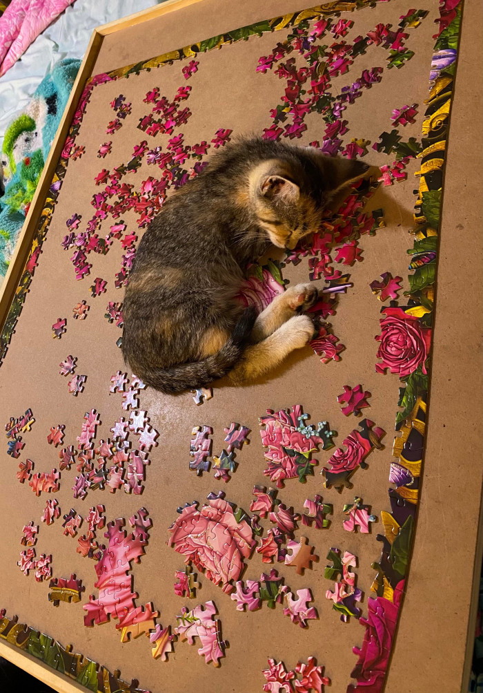 22. "Not convenient, but far better than fighting to keep her from eating the pieces, lol."