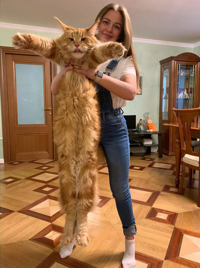 18. "Almost Human Height Long"
