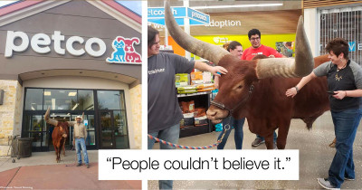 Man Takes His 1,600-Pound African Bull To The Petco Store To Test Their "All Leashed Animals Welcome" Policy