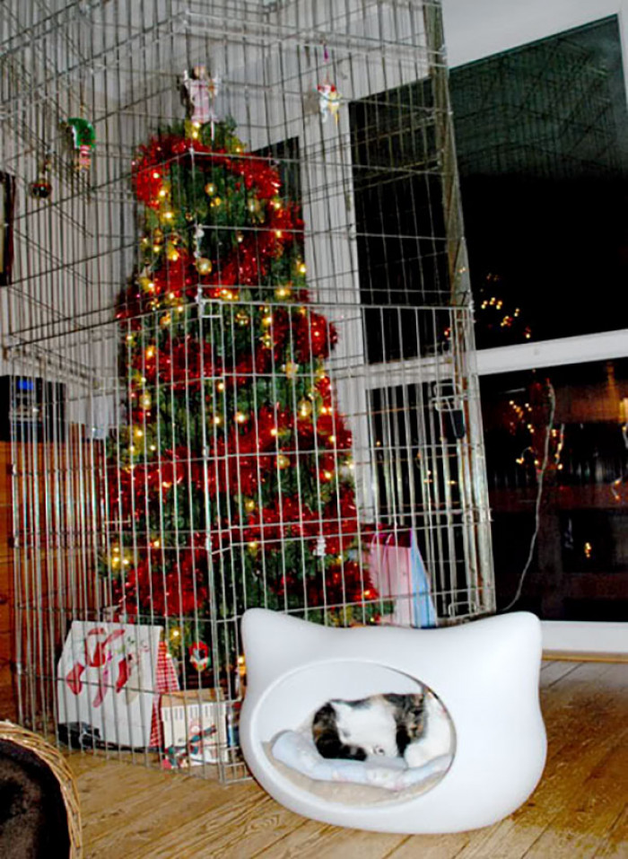 #26 Instead Of Putting Your Cat In The Cage Put The Tree In The Cage