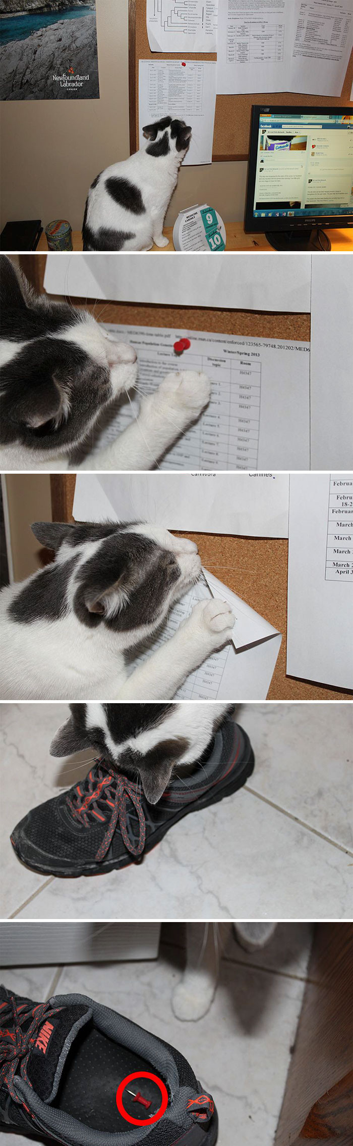 There is no explanation for this.