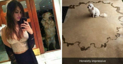 Puppers Who Were Little Troublemakers But We Love Them Anyways