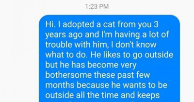 Woman Regrets Adopting Her Cat and Decides to Rant at Humane Society