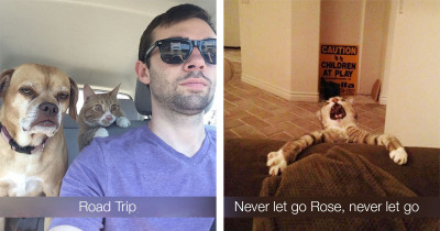 Someone Should Give These Overly Dramatic Cats An Oscar Right Meow