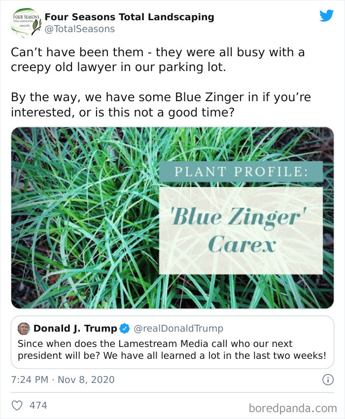 Blue Zinger 