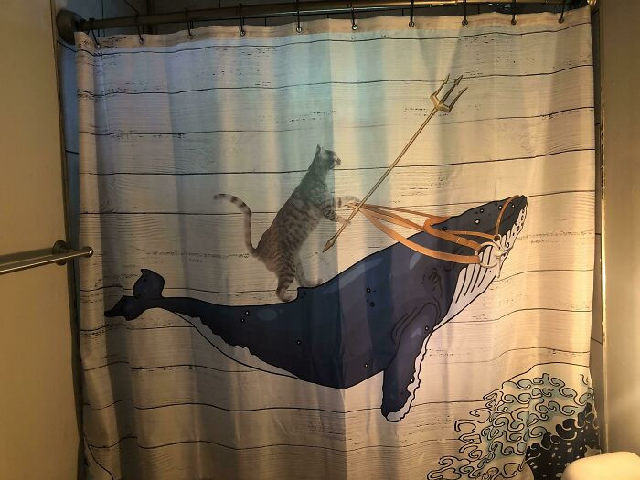 22. A 4-Year-Old Picked This Shower Curtain Out of Hundreds