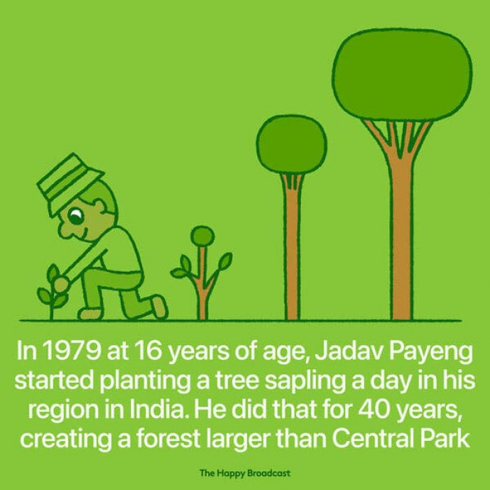3. This man planted a tree every day for 40 years