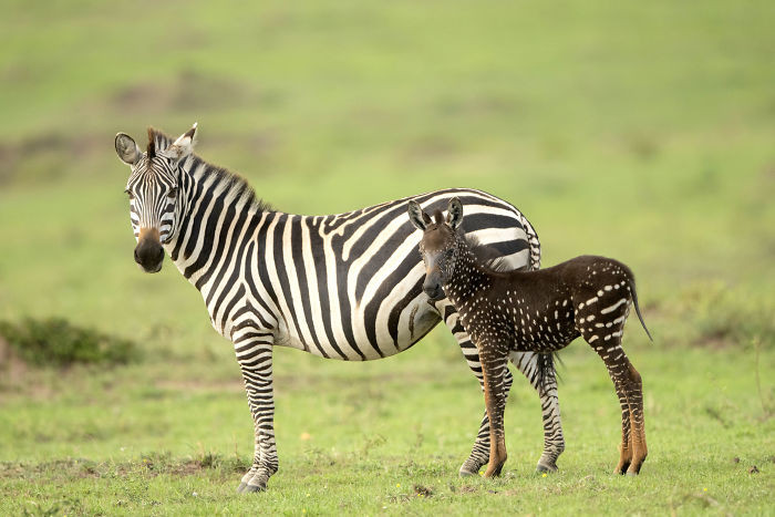 Tira and his Mom