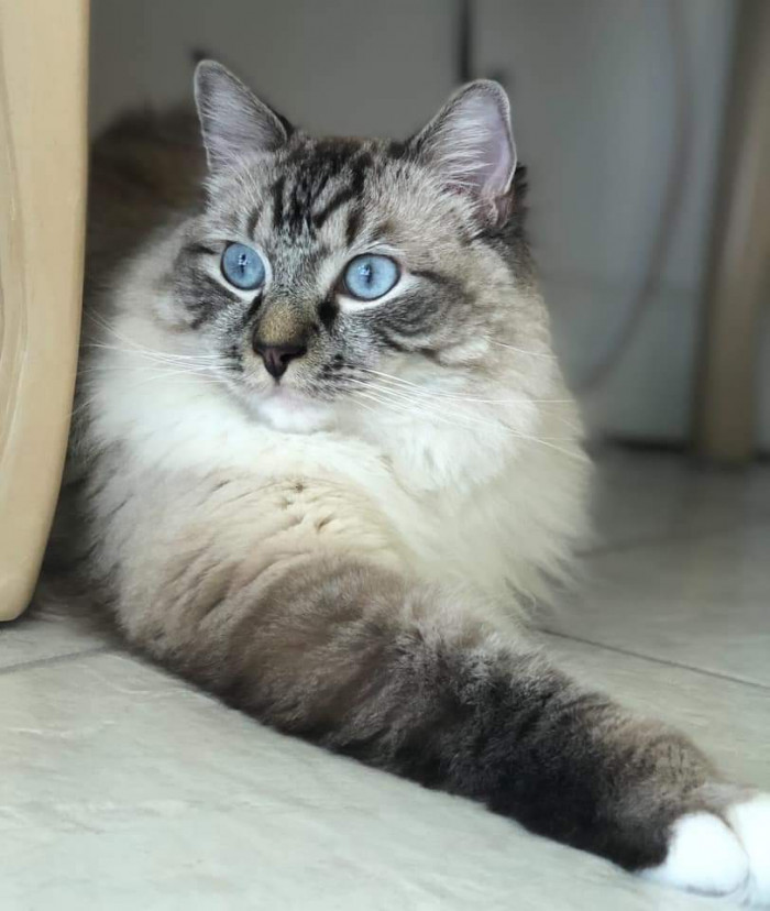 "My baby boy Moe."